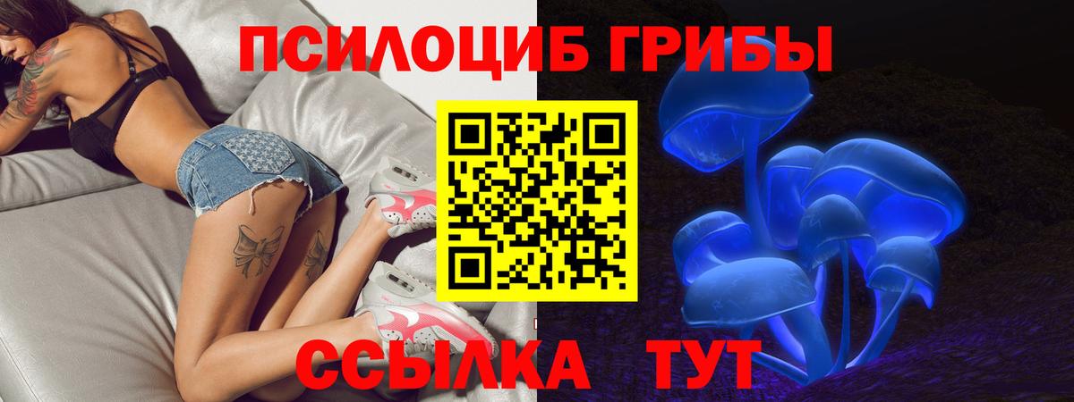 Псилоцибиновые грибы MAGIC MUSHROOMS  Галлюциногенные грибы MAGIC MUSHROOMS  Омск  Вход с VPN 